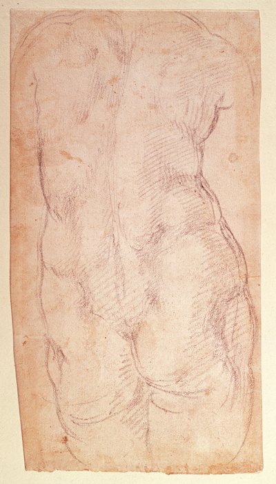 Study of the Back of a Nude Figure by Michelangelo Buonarroti